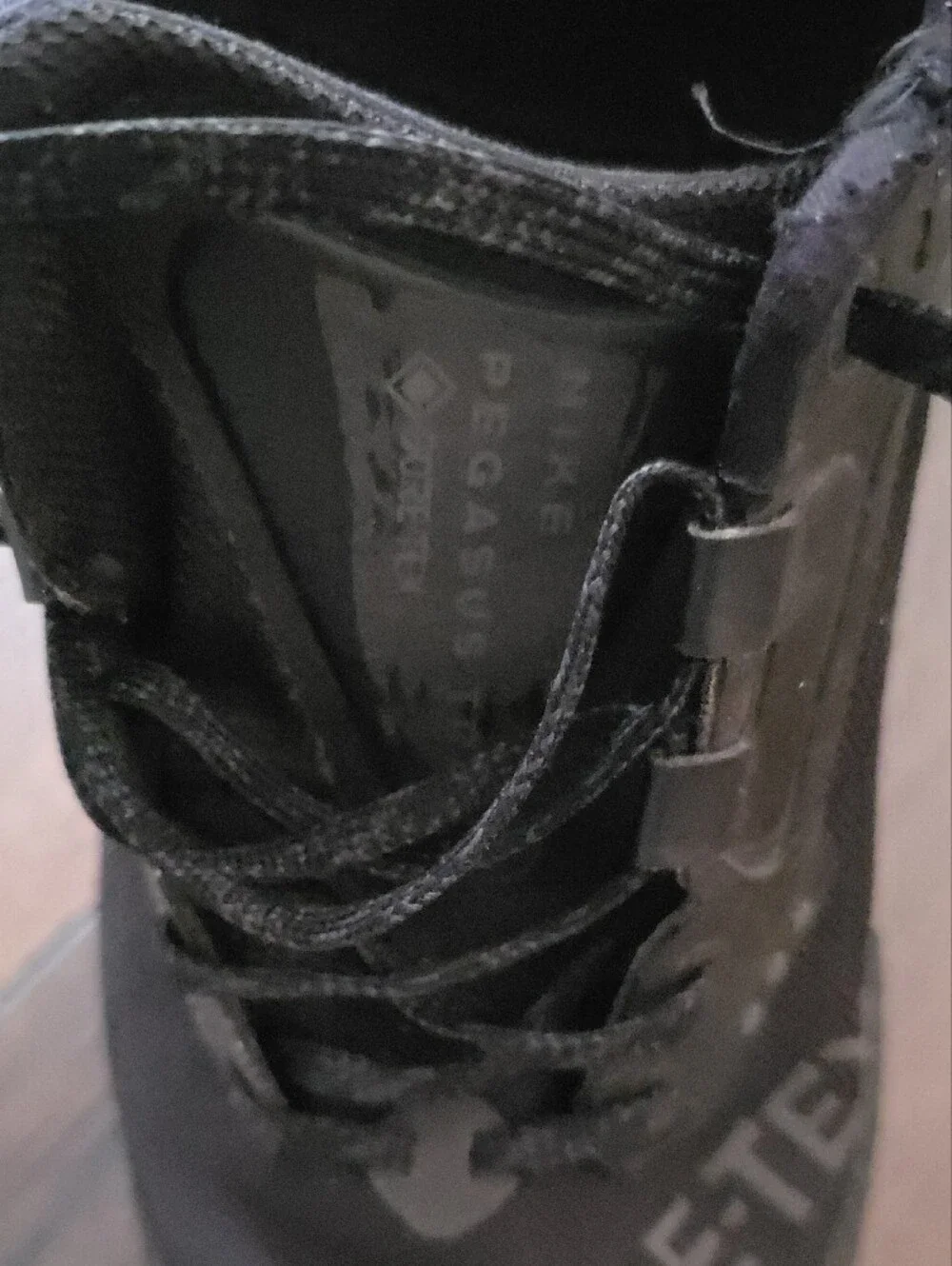 Nike Pegasus Trail 3 GORE-TEX running shoes